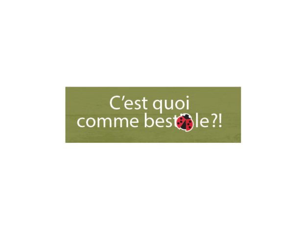 Logo cqcb