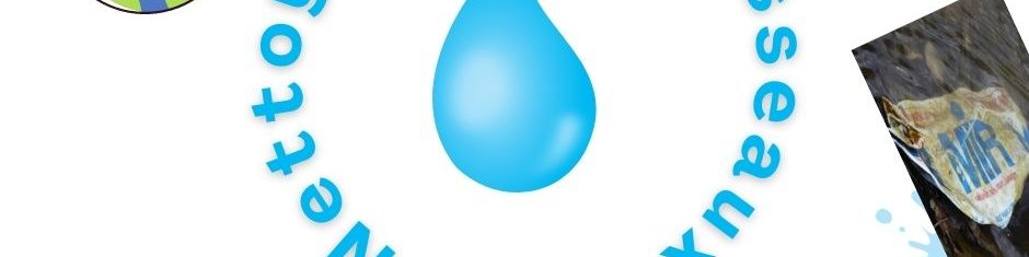 Nettoyage des ruisseaux