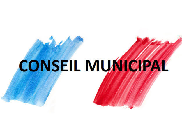 Logo CM